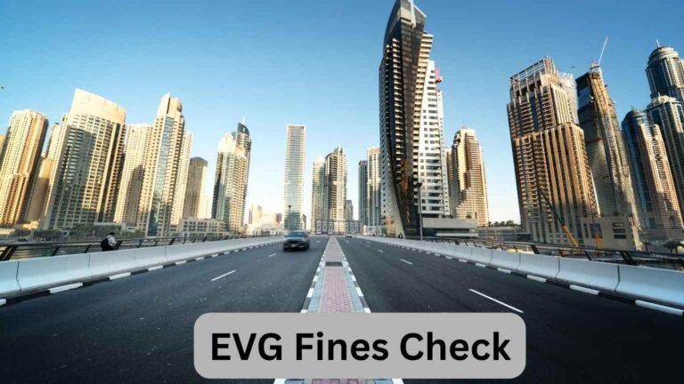 EVG Fines Check UAE – Emirates Vehicle Gate Fine Inquiry, Black Points, Payment & Complete Guide 11 EVG Fines Check