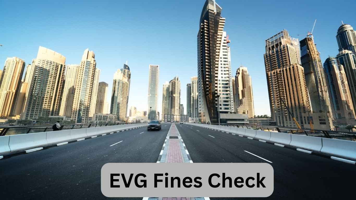 EVG Fines Check